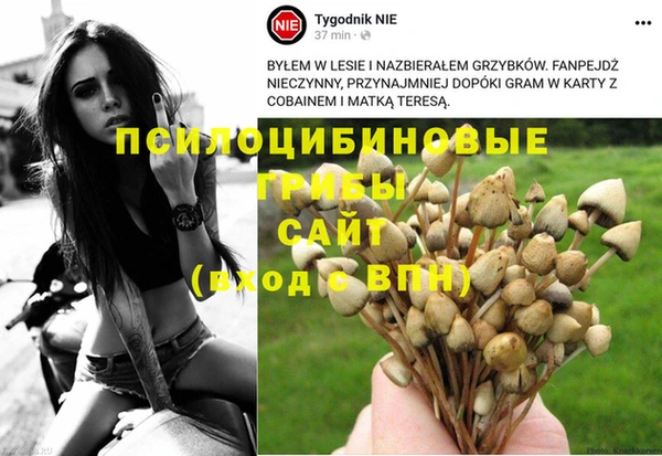 молекула духа Беломорск