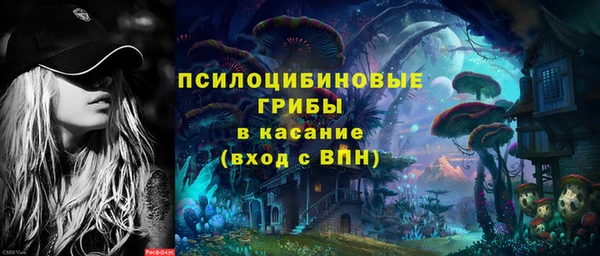 меф Белокуриха