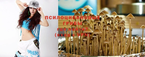 молекула духа Беломорск