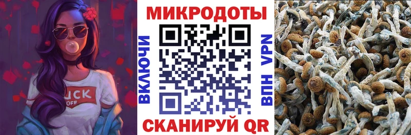 blacksprut ONION  наркотики  сайты даркнета телеграм  Галлюциногенные грибы Psilocybe  Кузнецк 