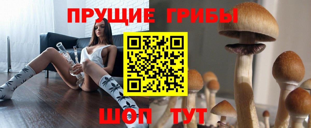 Кузнецк  Псилоцибиновые грибы Psilocybine cubensis  Вход с VPN 
